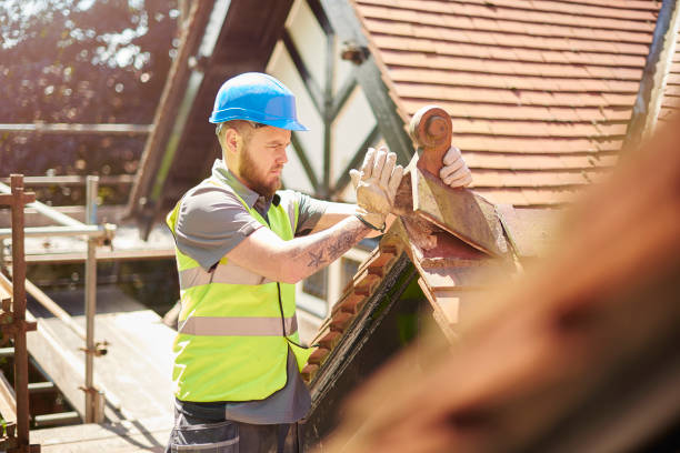 Best Roof Maintenance Services  in Mianna, AR