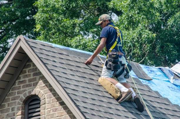 Best Roof Gutter Cleaning  in Mianna, AR